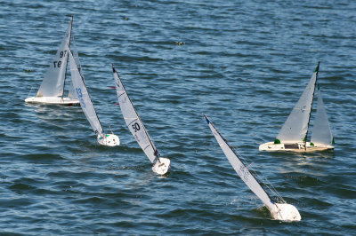 _DSC8312.jpg