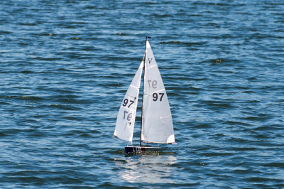 _DSC8372.jpg