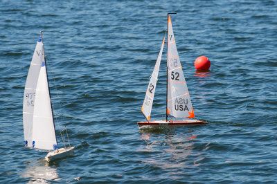_DSC8375.jpg