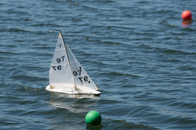 _DSC8406.jpg
