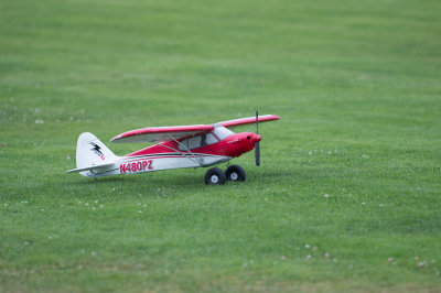 _DSC9342.jpg