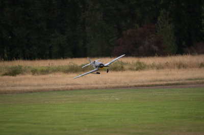 _DSC9365.jpg