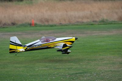_DSC9398.jpg