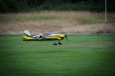 _DSC9475.jpg