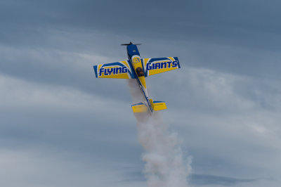 _DSC9530.jpg