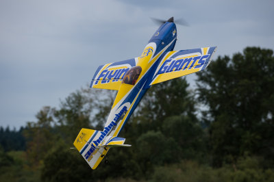 _DSC9568.jpg