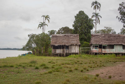 Amazon0581.jpg