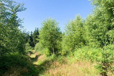 g9/94/11494/3/151419242.hmrqzRwC.jpg