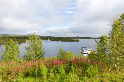g9/94/11494/3/161397927.Ci8AqYfl.jpg