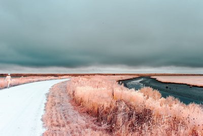 IMG_0138 copy.jpg