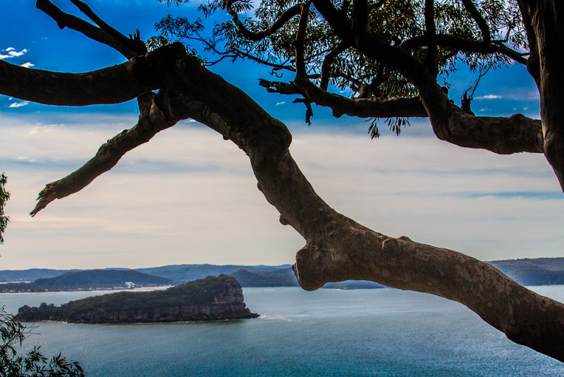 Lion Island 