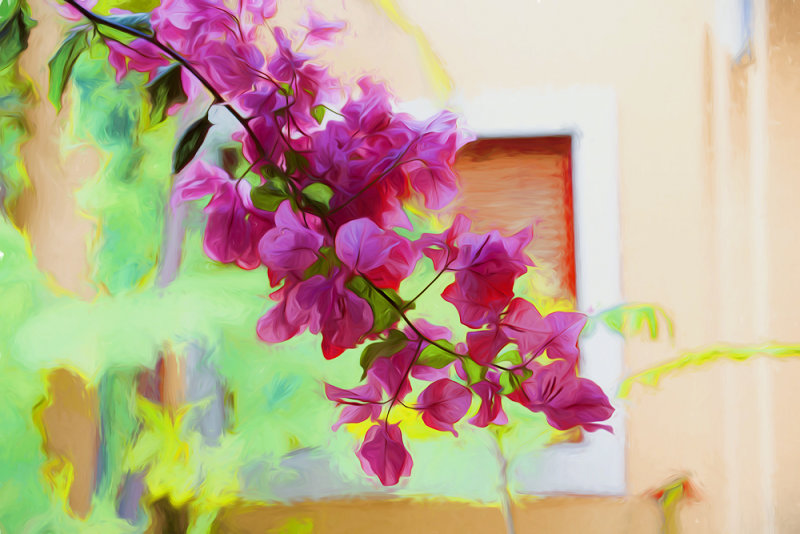 Bougainvillea painting 