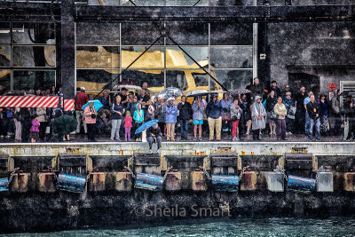 Crowd in rain watching Fleet celebrations