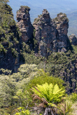 Three Sisters with tree fern at Echo Point, Blue Mountains
