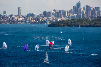 Sydney Harbour yacht race with spinnakers