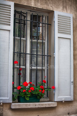 Paris window box 
