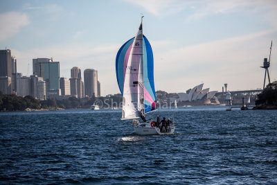 Yacht sailing down Sydney Harbour