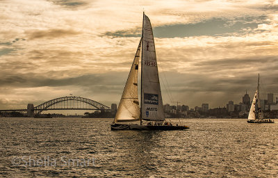 Yachts on Sydney Harbour with Bridge backdrop