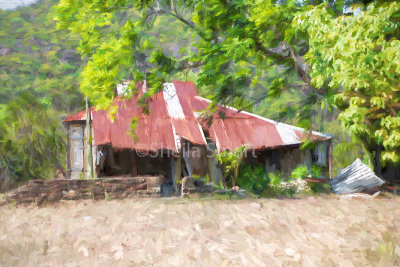 Derelict house with collapsing tin roof