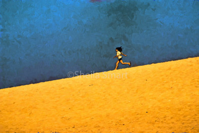 Dune runner 