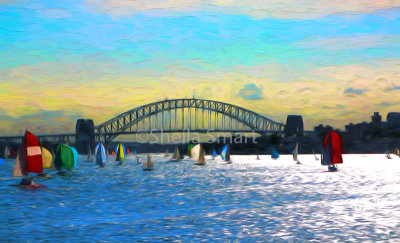 Yachts racing on Sydney Harbour 