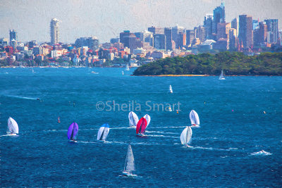 Sydney Harbour yacht race 