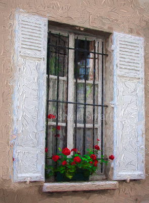 Paris windowbox 