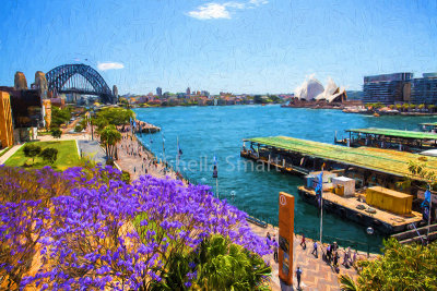 Sydney Harbour with jacaranda tree 
