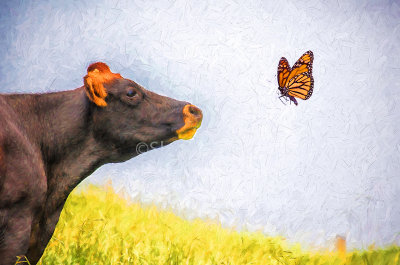 Cow profile with butterfly