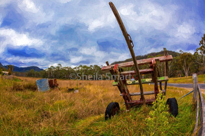 Paddock in Australia