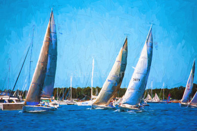 Yachts racing on Pittwater 