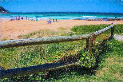 Whale Beach fence