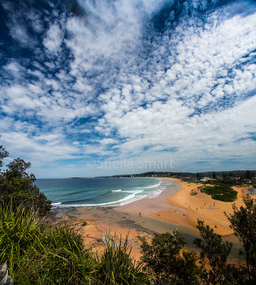 Narrabeen panorama 