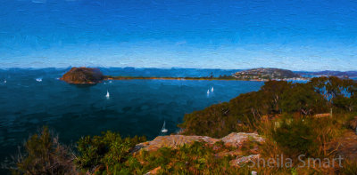 Pittwater panorama impressionist