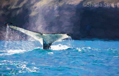 Humpback whale impressionist version