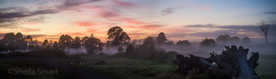 Panorama of sunrise with mist at Berry, NSW