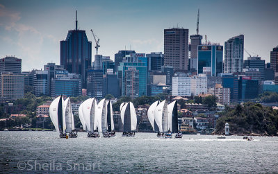 Yacht race on Harbour with North Sydney backdrop 