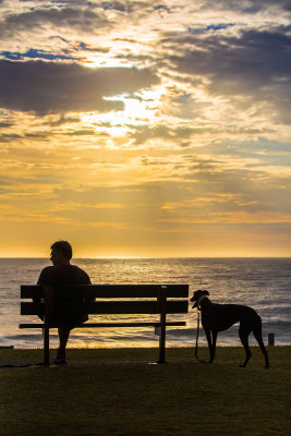 Silhouette of man sitting on seat with greyhound at sunrise