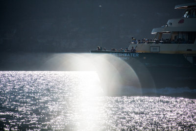 Manly ferry with light 