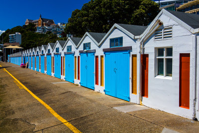 Wellington, New Zealand sailing club 