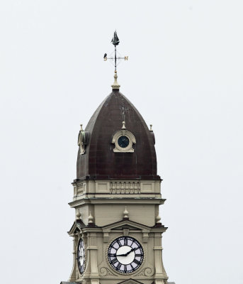 Town Hall weathervane with a Peregrine Falcon