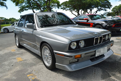 DSC_2019.jpg