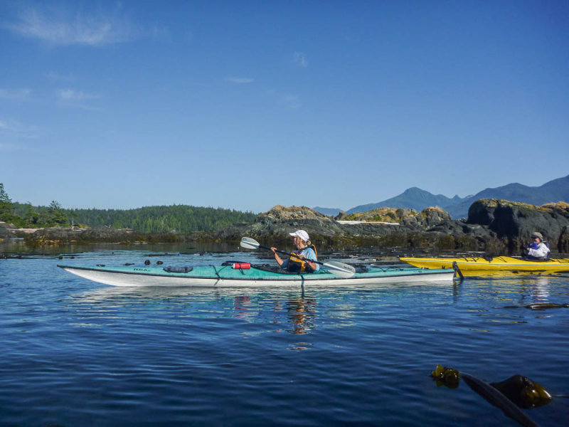 johnstone13-39.jpg