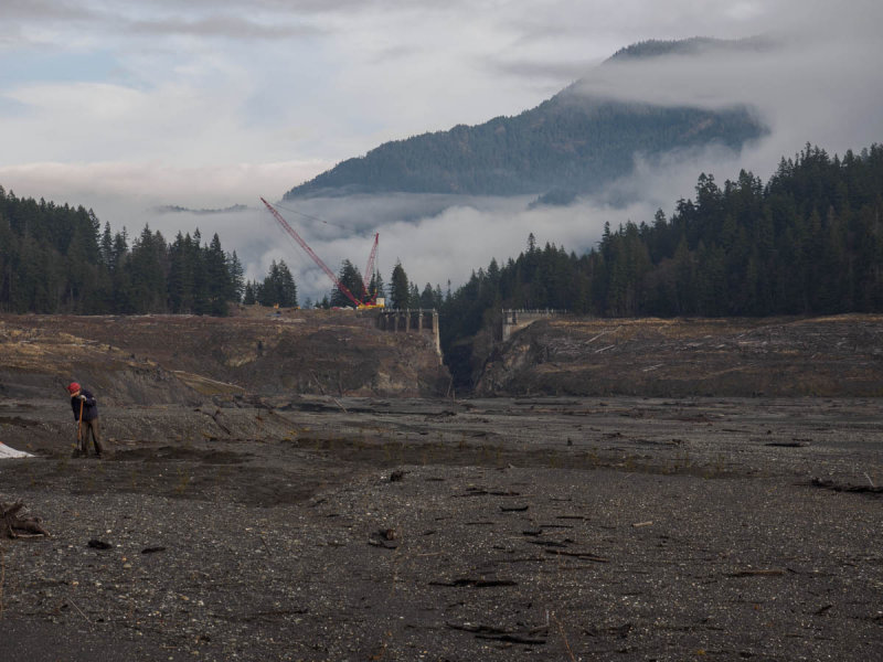Elwha-14.jpg