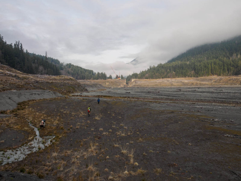 Elwha-21.jpg