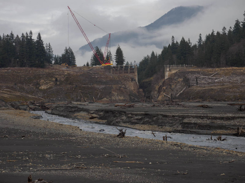 Elwha-24.jpg