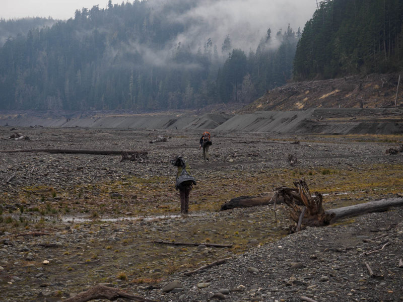 Elwha-7.jpg