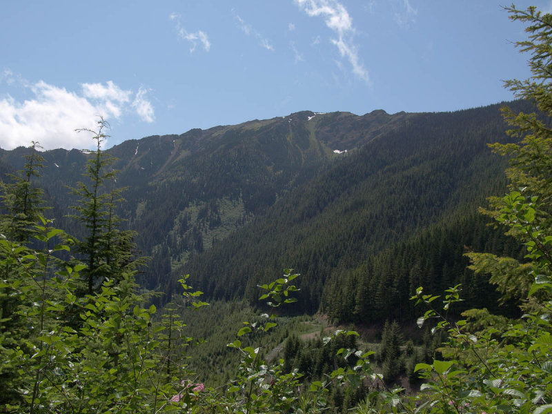 jeffco-4.jpg