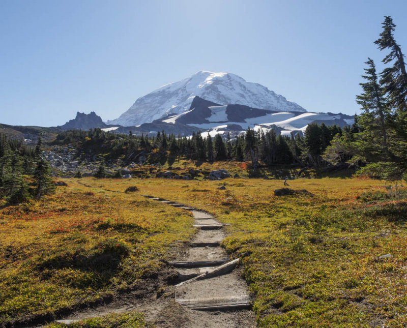 Rainier