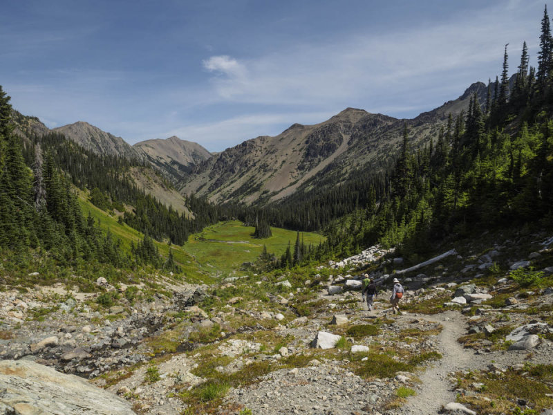 meadow above royal lake